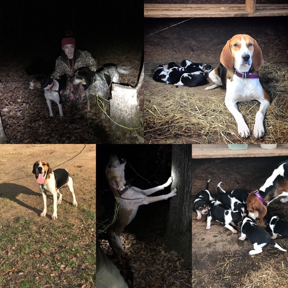 Meet your Posher, Cassee - Picture 7 of 8